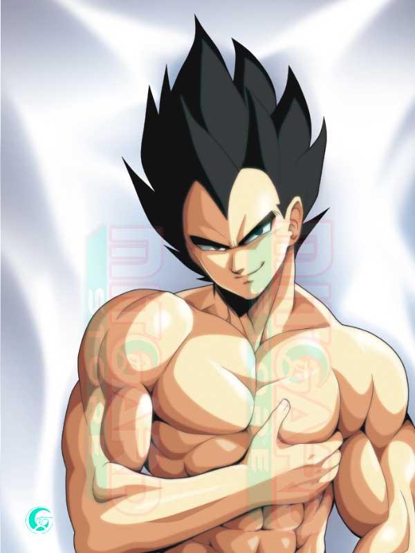 Vegeta V2 Almohada Dakimakura